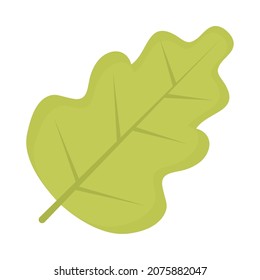 icono de hoja de roble en fondo blanco