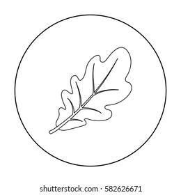 Oak leaf icon in outline style isolated on white background. Canadian Thanksgiving Day symbol stock vector illustration.