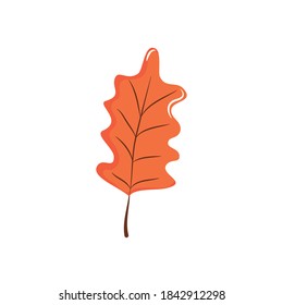 oak leaf icon over white background, flat style, vector illustration