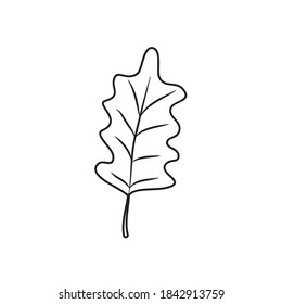 Eichenblattsymbol, weißer Hintergrund, Linienstil, Vektorgrafik