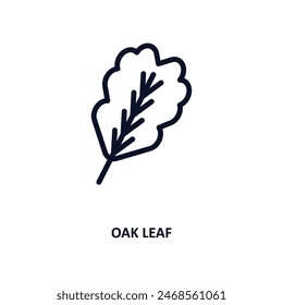 oak leaf icon. Thin line oak leaf icon from nature collection. Outline vector isolated on white background. Editable oak leaf symbol can be used web and mobile
