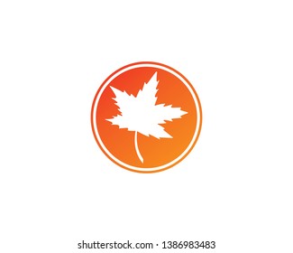 oak leaf icon vector design template - Vector