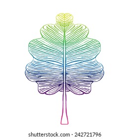Oak leaf illustration