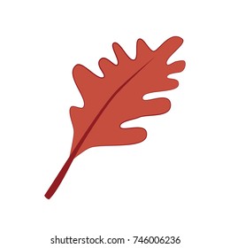 Oak leaf illustration isolated on white background. Vector illustration