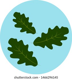Eichenblatt, Illustration, Vektorgrafik auf weißem Hintergrund.