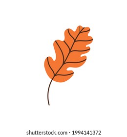 oak leaf isolated on a white background. Fallen brown oak leaf. Flat vector illustration. Autumn leaves