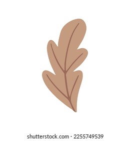 Oak leaf, isolated simple hand drawn illustration in doodle style. Vector illustration