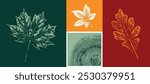 Oak leaf or leaves botanical print in warm fall autumn colors. Plain leaf sketched stamp art.