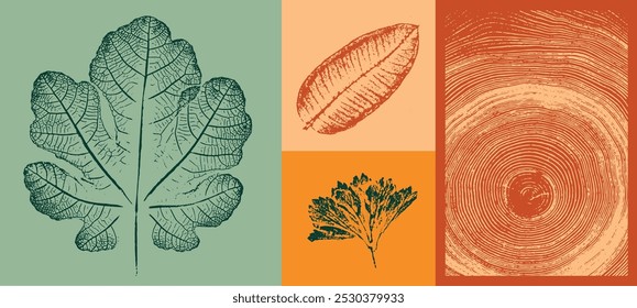 Estampado botánico de hojas o hojas de roble en colores cálidos de otoño. Arte de sello esbozado de hoja lisa.