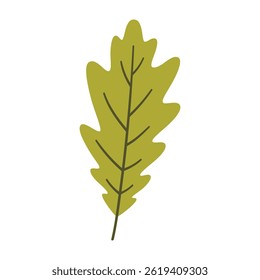 Oak leaf in light green color. One element isolated on white. Spring or summer background, vector illustration