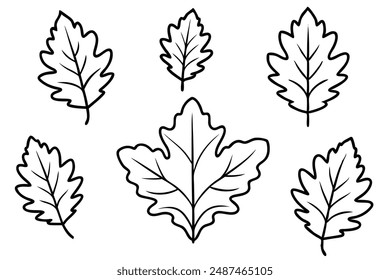 Oak Leaf line art artistic representation of oak leaf beauty