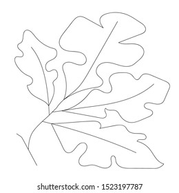 Oak leaf line art. Contour drawing. Minimalism art. Modern décor - vector illustration
