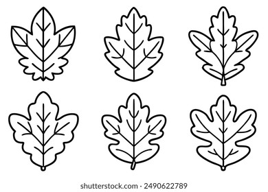 Oak Leaf Line Art Graphic Design