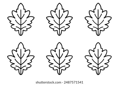 Oak Leaf line art ink drawing