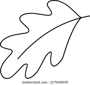 Oak Leaf Line Art On White Background, Doodle Illustration, Foliage