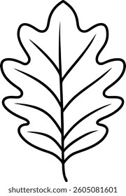 Oak Leaf Line Art – Simple Botanical Vector