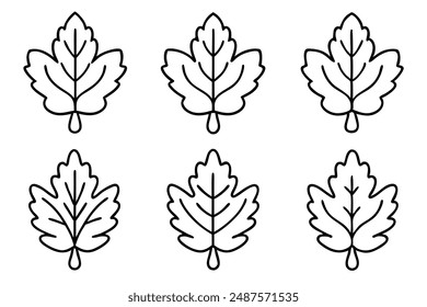 Oak Leaf line art visual concept