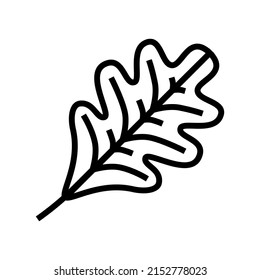 oak leaf line icon vector. oak leaf sign. isolated contour symbol black illustration