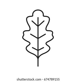 Oak Leaf Linear Icon. Thin Line Illustration. Contour Symbol. Vector Isolated Outline Drawing