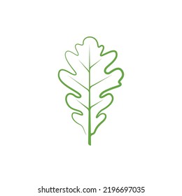 Oak leaf linear logo design template. Oak leaf with acorns graphic vector. Vector illustration