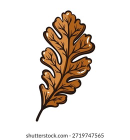 Folha de carvalho com forma lobulada, veias claras e forma natural de outono. Folhagem de carvalho detalhada em estilo de gravura botânica vintage, linhagem precisa e estrutura vegetal clássica. Ilustração vetorial.