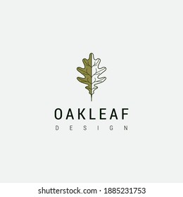 Oak leaf logo design illustration vector template