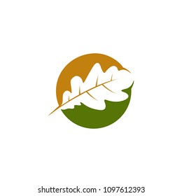 Oak leaf logo design inspiration