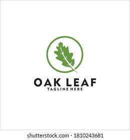 oak leaf logo design silhouette vector