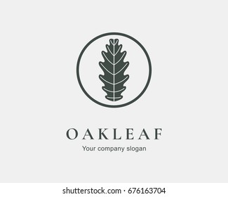 Oak leaf logo design. Silhouette creative symbol. Universal icon. Leaf sign. Simple logotype template for premium business. Vector illustration.