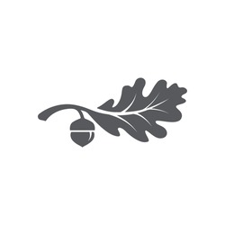 Oak Leaf Logo Design Template. Oak Leaf With Acorns Graphic Vector. Vector Illustration