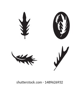 Oak Leaf Logo Design Template

