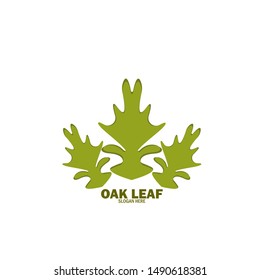 Oak Leaf Logo Design Template

