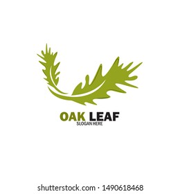 Oak Leaf Logo Design Template

