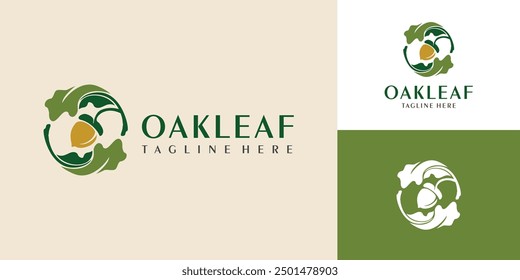 Oak leaf logo design template. Oak leaf with acorns graphic vector. Vector illustration