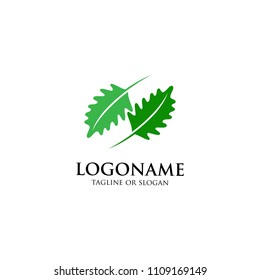 Oak leaf logo design vector