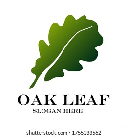 Oak leaf logo design vector