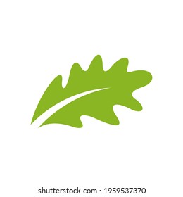 Oak leaf logo design vector illustration, Creative oak tree logo design concept template, symbols icons