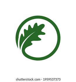 Oak leaf logo design vector illustration, Creative oak tree logo design concept template, symbols icons