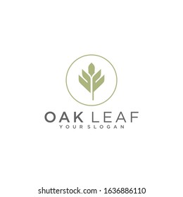 Oak Leaf Logo Idea Image Stock