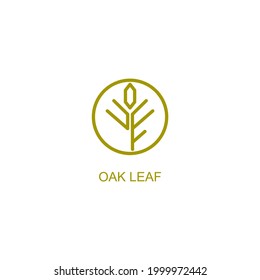 Oak Leaf Logo Idea Image Stock