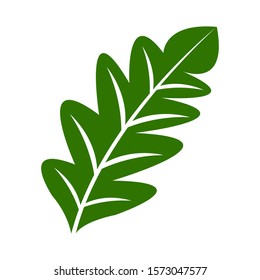 Oak Leaf Logo Images, vector