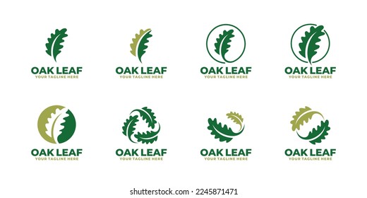 Logo-Design für Oak-Blätter