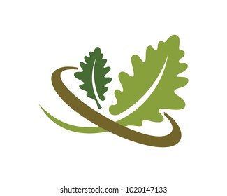 Oak Leaf Logo Template Design Vector, Emblem, Design Concept, Creative Symbol, Icon