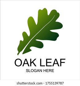 Oak leaf logo template design vector illustration