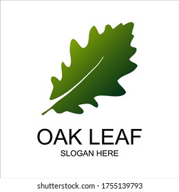 Oak leaf logo template design vector illustration