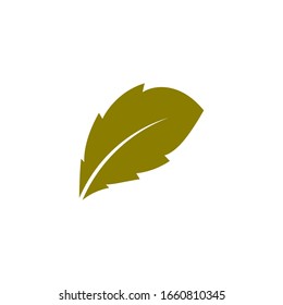 Oak Leaf Logo template vector illustration