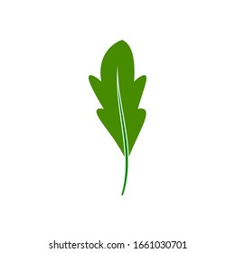 Oak Leaf Logo template vector illustration