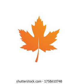 Oak Leaf Logo template vector illustration