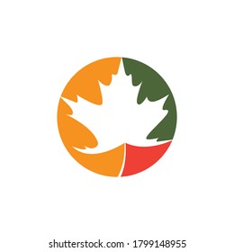 Oak Leaf Logo template vector illustration