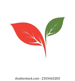 Oak Leaf Logo template vector illustration